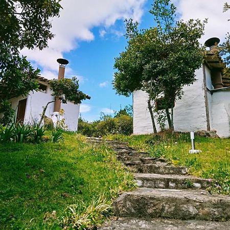 Villa Jardin Colibri Rnt 33633 Guatavita Exterior foto