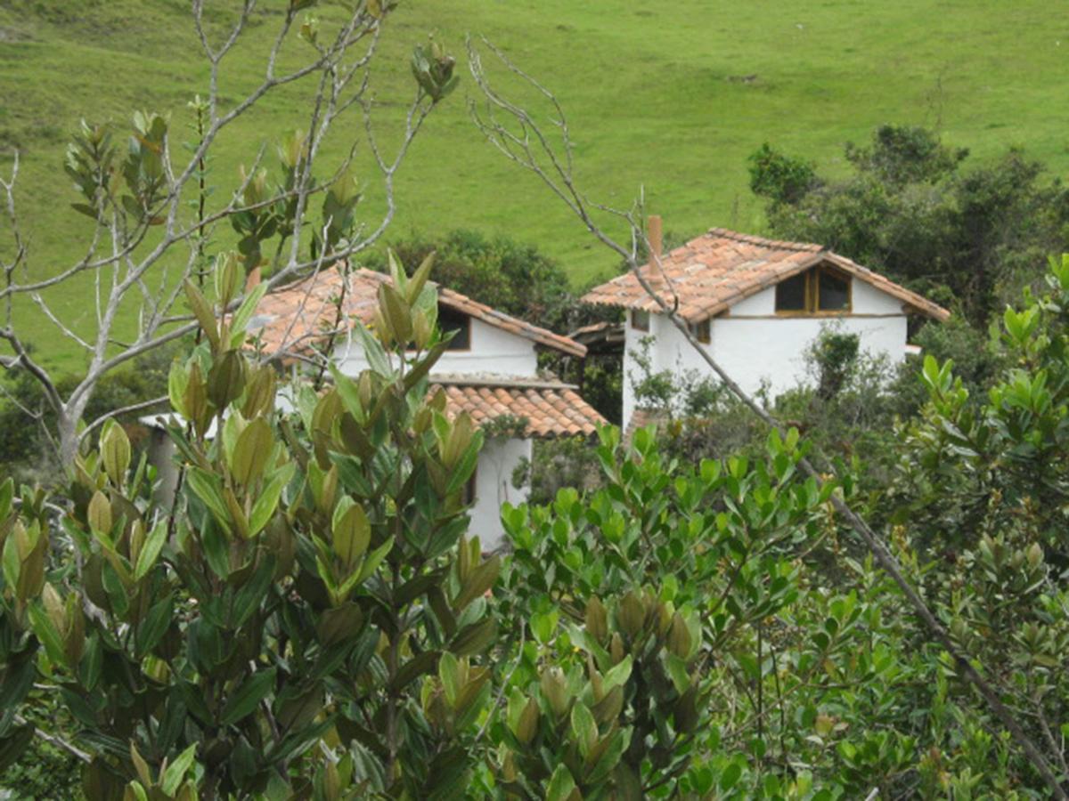Villa Jardin Colibri Rnt 33633 Guatavita Exterior foto
